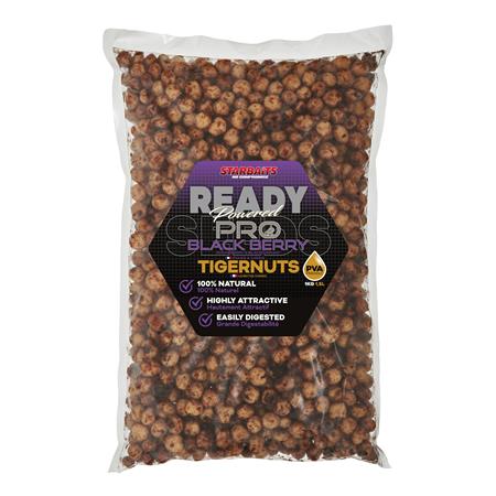 GEKOCHTE SAMEN STARBAITS READY SEEDS BLACKBERRY