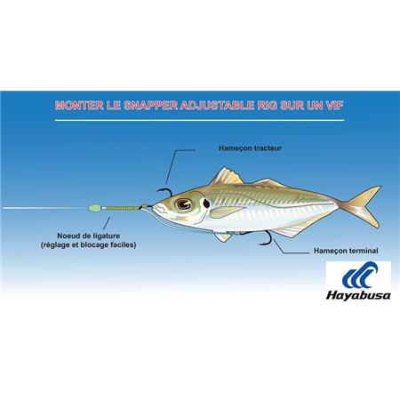 GEMONTEERDE HAAK HAYABUSA SNAPPER ADJUSTABLE RIG EX304