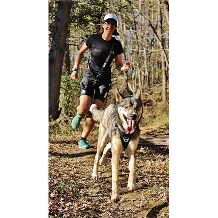 GESCHIRR I-DOG RAIDLIGHT CANI-TRAIL