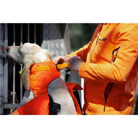 GILET DE PROTECTION CANIHUNT PROTECT PRO L'ORIGINAL