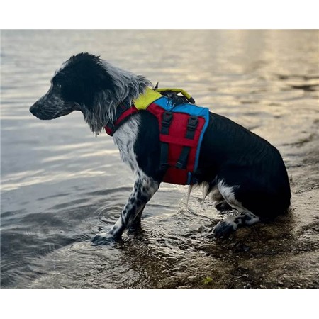 GILET SAUVETAGE SPINLOCK POUR CHIEN FIDO