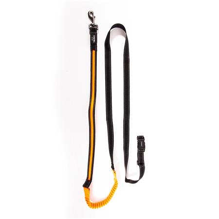 GLOWING EXTENDABLE LEASH NYLON USB