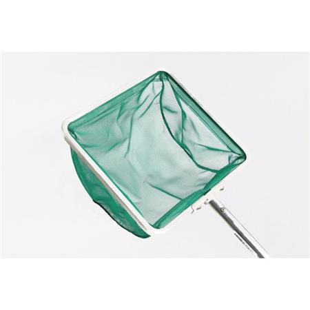 Główka Podbieraka Amiaud