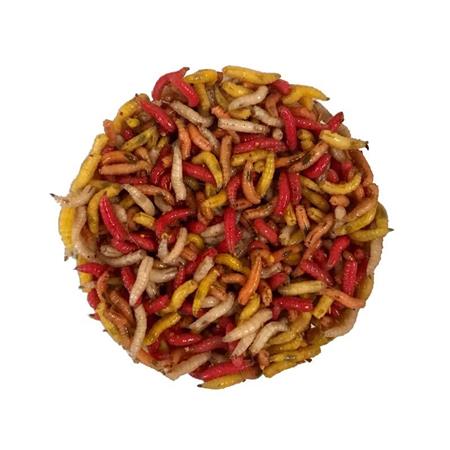 Gozzers Multicolores