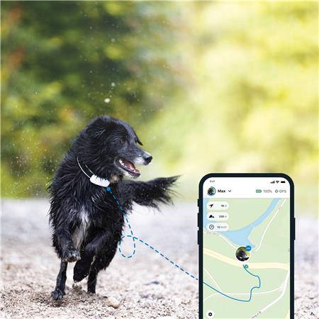 GPS TRACTIVE DOG 4 - COLLIER GPS POUR CHIEN AVEC SUIVI D'ACTIVITÉ