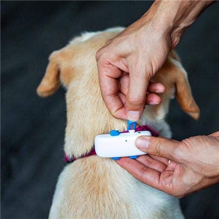 GPS-TRAJECT TRACTIVE DOG 4 - COLLIER GPS POUR CHIEN AVEC SUIVI D'ACTIVITÉ