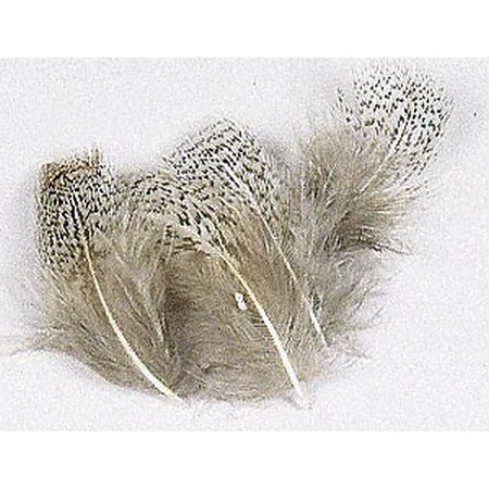 Γκρίζα Περδίκη Jmc