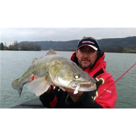 Guide Carnassier Le Rhône, La Saône, La Loire Villerest, Grangent Auvergne Rhone Alpes Stephane Poincot