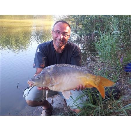 Guide Coup/Carpodrome Auvergne Bruno Pouzadoux