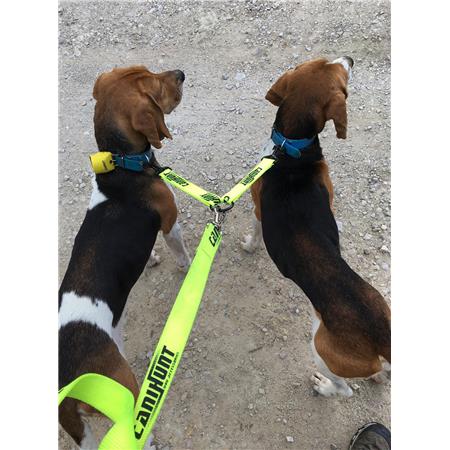 GUINZAGLIO CANE CANIHUNT COUPLEUR