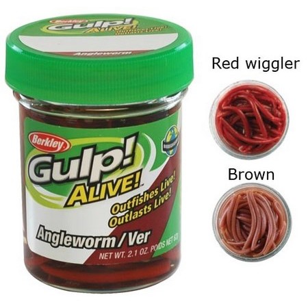 Gulp! Alive Angle Worm Berkley Gulp Alive Angle Worm 5Cm - Pack Of 60
