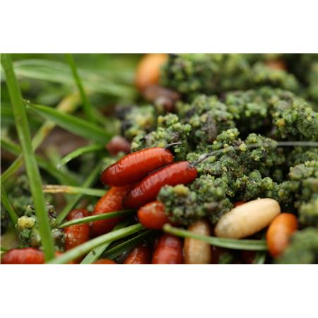 HAK GURU SUPER LWG HOOK BARBLESS SPADE END