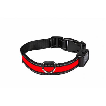 Halsband Eyenimal Lumineuse Ub Rechargeable