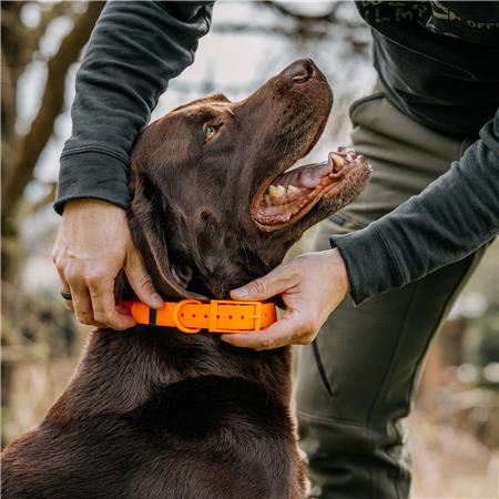 HALSBAND HOND EUROHUNT HP&G