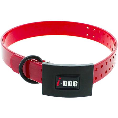 Halsband Hond I-Dog Premium