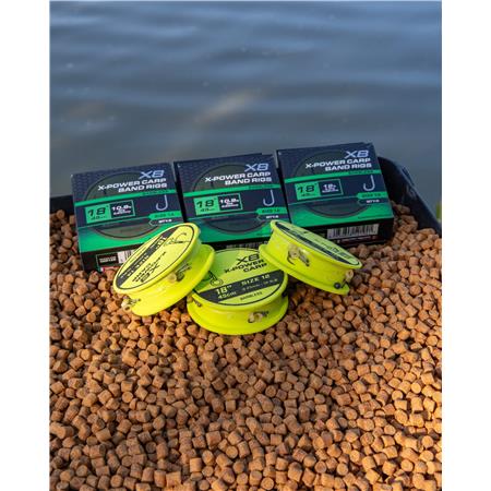 HAMEÇON MONTÉ FOX MATRIX X8 X-POWER CARP BAND RIG
