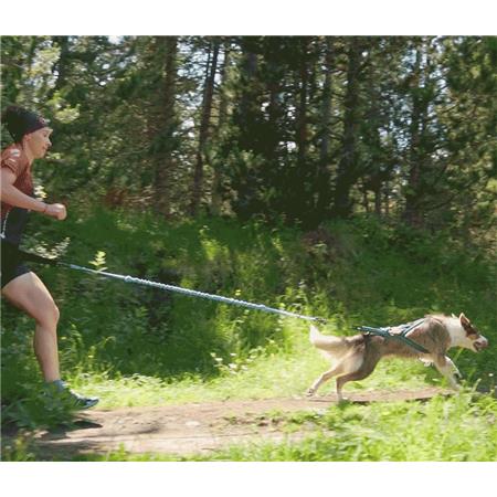 HARNESS I-DOG CANICROSS X-BACK GAMME ONE - BLEU
