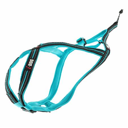Harness I-Dog Canicross X-Back Gamme One - Bleu