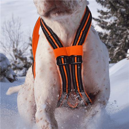 HARNESS I-DOG CANICROSS X-BACK GAMME ONE - ORANGE