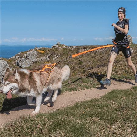HARNESS I-DOG CANICROSS X-BACK GAMME ONE - ORANGE