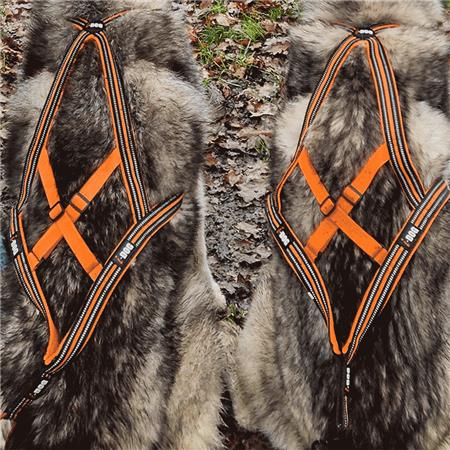 HARNESS I-DOG CANICROSS X-BACK GAMME ONE - ORANGE