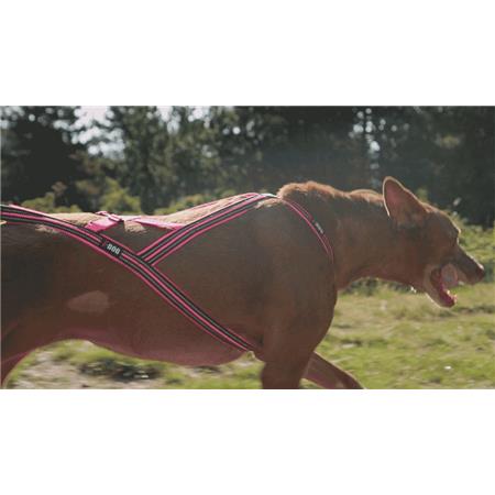 HARNESS I-DOG CANICROSS X-BACK GAMME ONE - ROSE