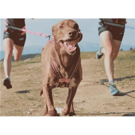 HARNESS I-DOG CANICROSS X-BACK GAMME ONE - ROSE