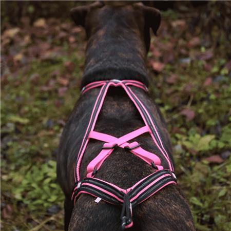 HARNESS I-DOG CANICROSS X-BACK GAMME ONE - ROSE