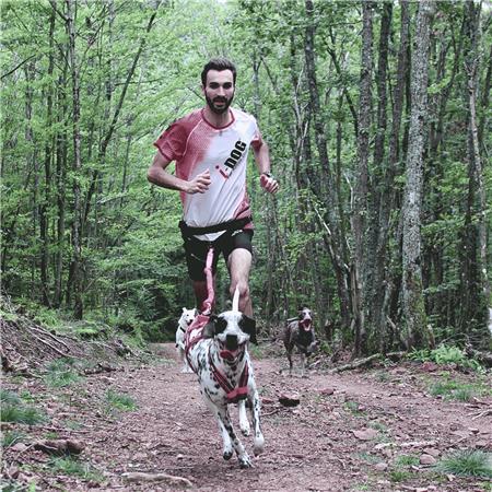 HARNESS I-DOG CANICROSS X-BACK GAMME ONE - ROSE