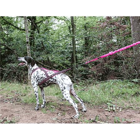 HARNESS I-DOG CANICROSS X-BACK GAMME ONE - ROSE