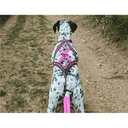 HARNESS I-DOG CANICROSS X-BACK GAMME ONE - ROSE