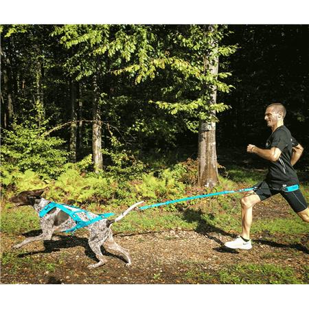 HARNESS I-DOG CANICROSS X-BACK PHOENIX RÉGLABLE - BLEU