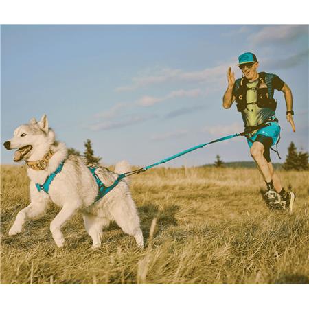 HARNESS I-DOG CANICROSS X-BACK PHOENIX RÉGLABLE - BLEU
