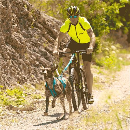 HARNESS I-DOG CANICROSS X-BACK PHOENIX RÉGLABLE - BLEU