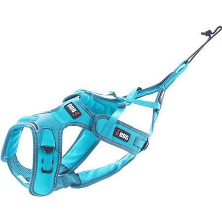 Harness I-Dog Canicross X-Back Phoenix Réglable - Bleu