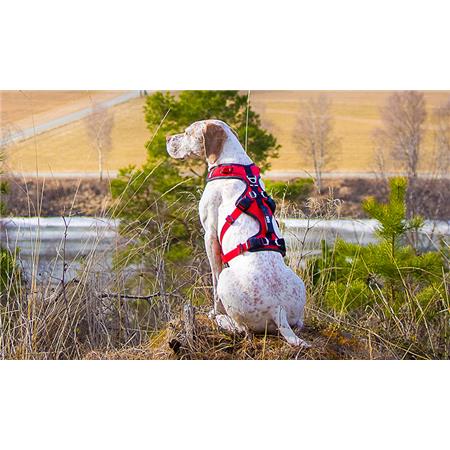 HARNESS I-DOG CONFORT TREK