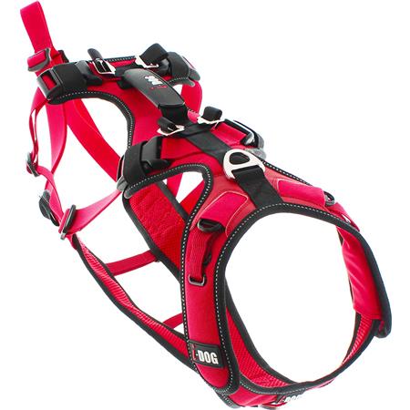 Harness I-Dog Confort Trek