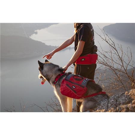 HARNESS I-DOG CONFORT TREK