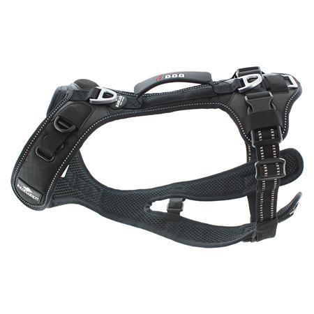 Harness I-Dog Raidlight Cani-Trail