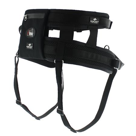 Harness I-Dog Raidlight