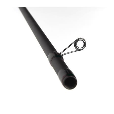 HENGEL FOREL TOC/NYMF SEMPE NORGA