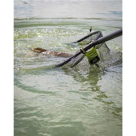 HOOFD VAN EEN SLIJPKOP FOX MATRIX CARP LATEX LANDING NET