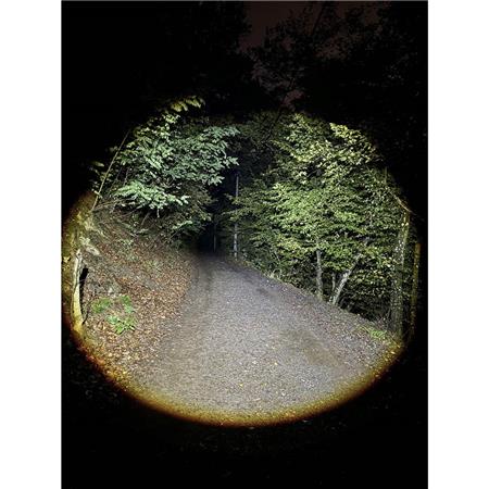 HOOFDLAMP HOLDCARP ZOOMABLE SENSOR HEADLAMP