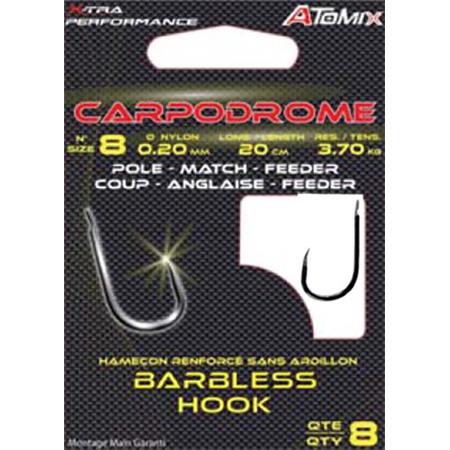 Hook Rigged Autain Special Carpe