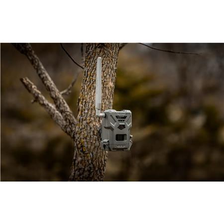 HUNTING CAMERA SPYPOINT FLEX-M