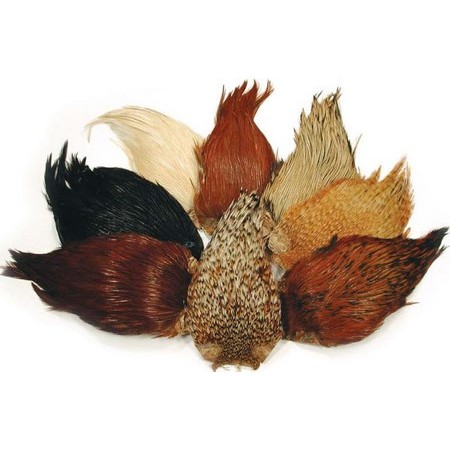 Indiase Hanenhals Tof Top Grade