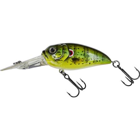 ISCA FLUTUANTE MOLIX SCULPO DR RATTLIN - 5.5CM