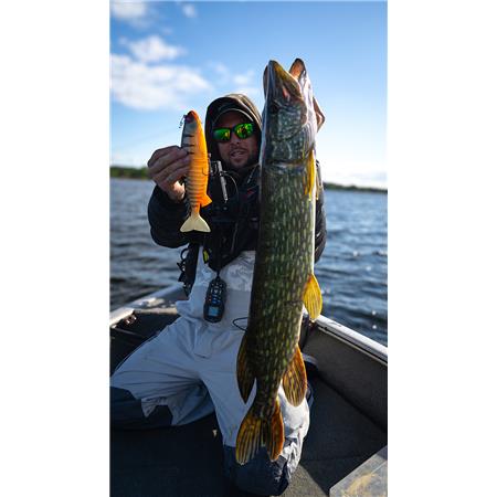 ISCA MACIA ARMADA FOX RAGE JOINTED REPLICANT - 27CM