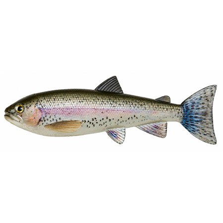 Isca Macia Pulzbait Skinz - 20Cm