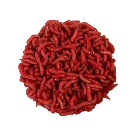 Iscas Gozzers Vermelho